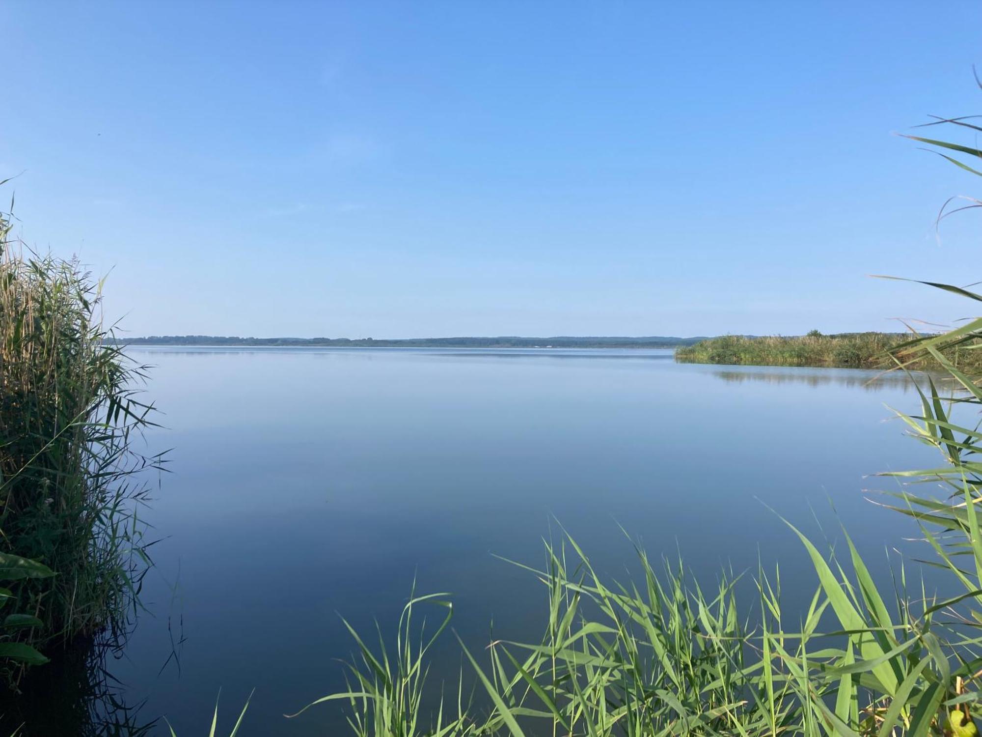 Nowe Apartamenty Ostoja - Nad Baltykiem - Cisza I Piekno Natury Zastan ภายนอก รูปภาพ