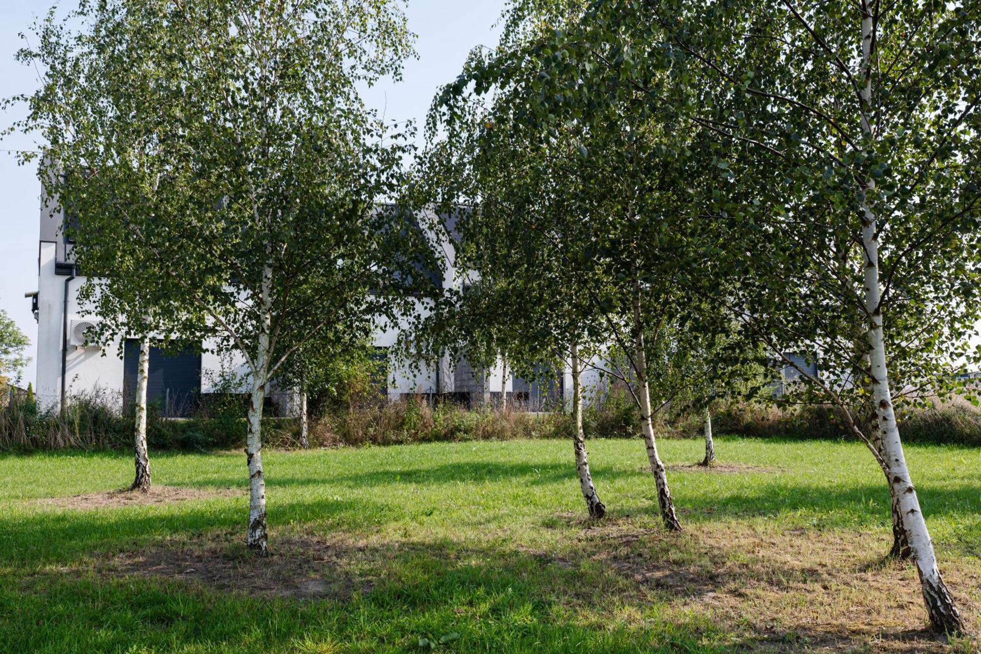 Nowe Apartamenty Ostoja - Nad Baltykiem - Cisza I Piekno Natury Zastan ภายนอก รูปภาพ